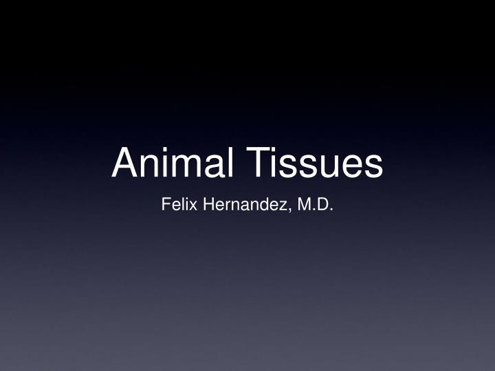 PPT - Animal Tissues PowerPoint Presentation, free download - ID:3599840 PPT - Animal Tissues PowerPoint Presentation, free download - ID:3599840