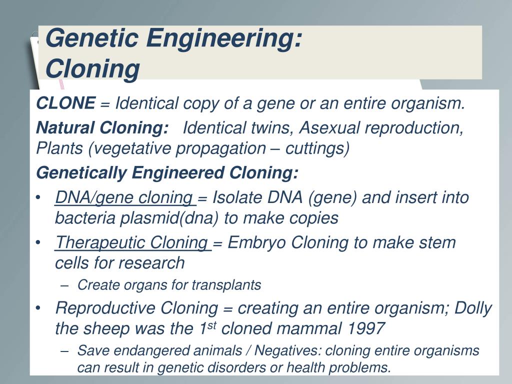 Ppt Biology B 4 Molecular Genetics Biotechnology Part 2 Powerpoint Presentation Id3601463 1258