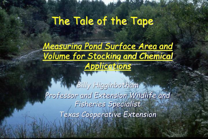 PPT - The Tale Of The Tape PowerPoint Presentation, Free Download - ID ...