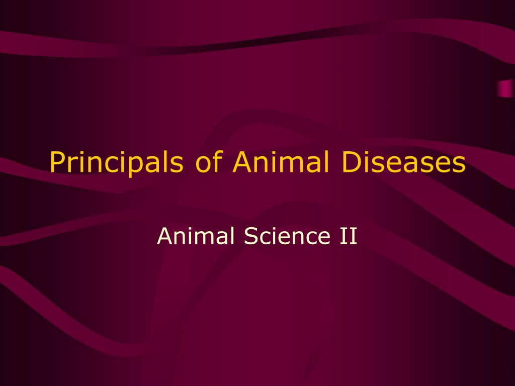 PPT - Principals of Animal Diseases PowerPoint Presentation, free download - ID:3604104 PPT - Principals of Animal Diseases PowerPoint Presentation, free download - ID:3604104
